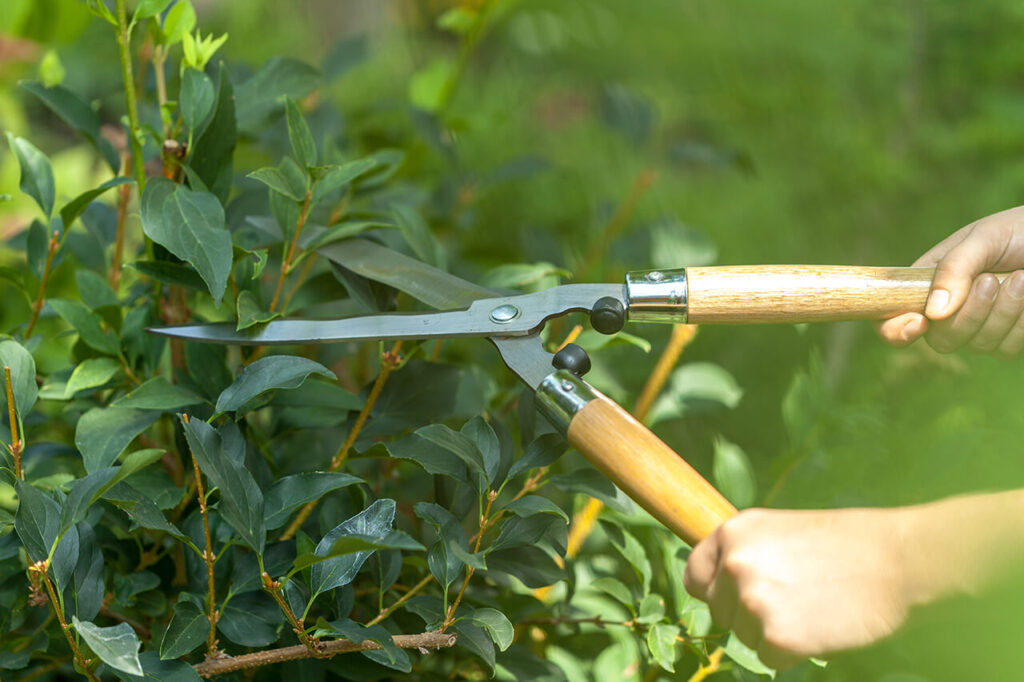 improve home security