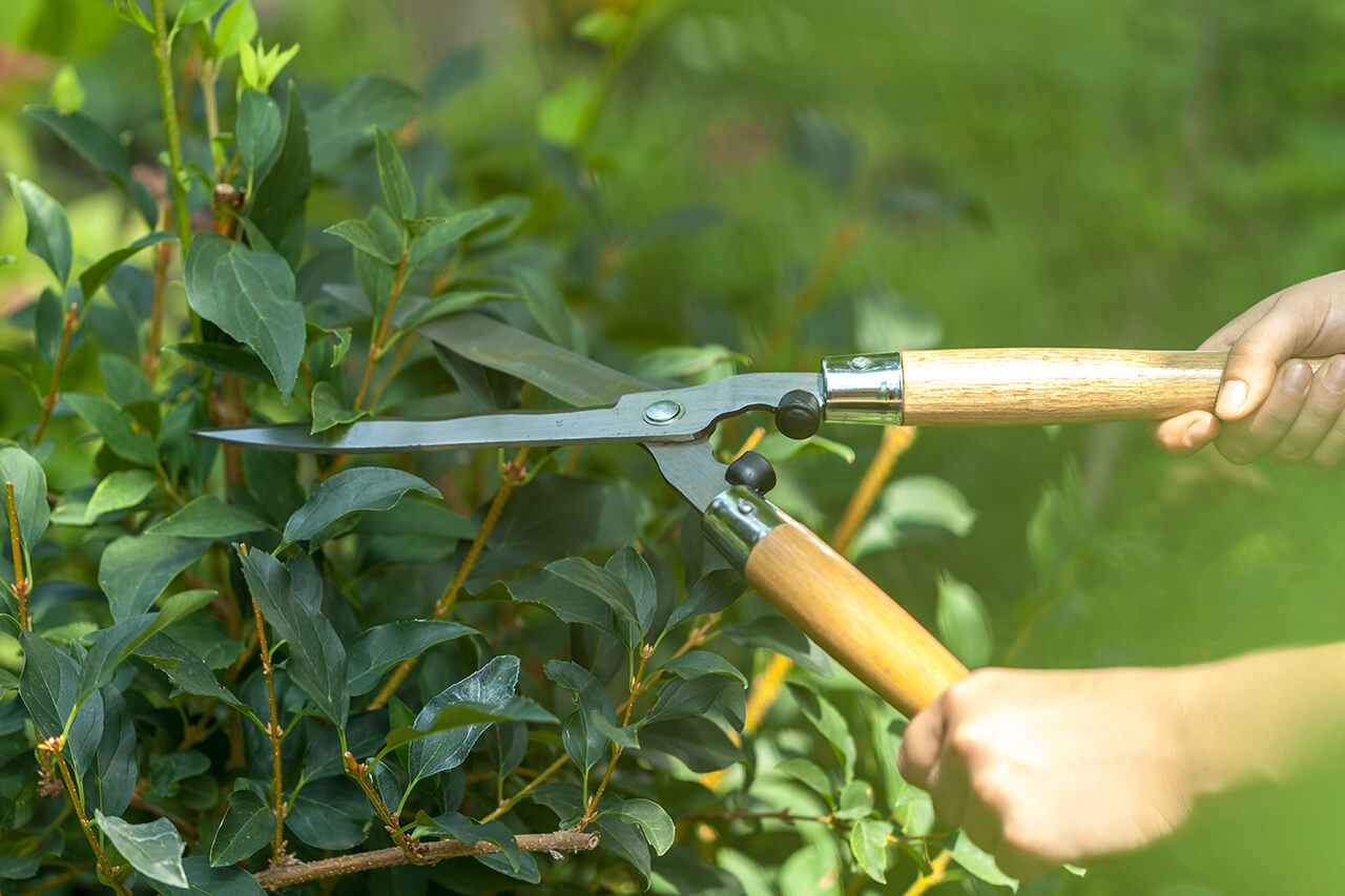 improve home security