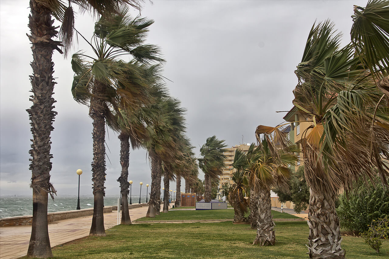 prepare for hurricane season