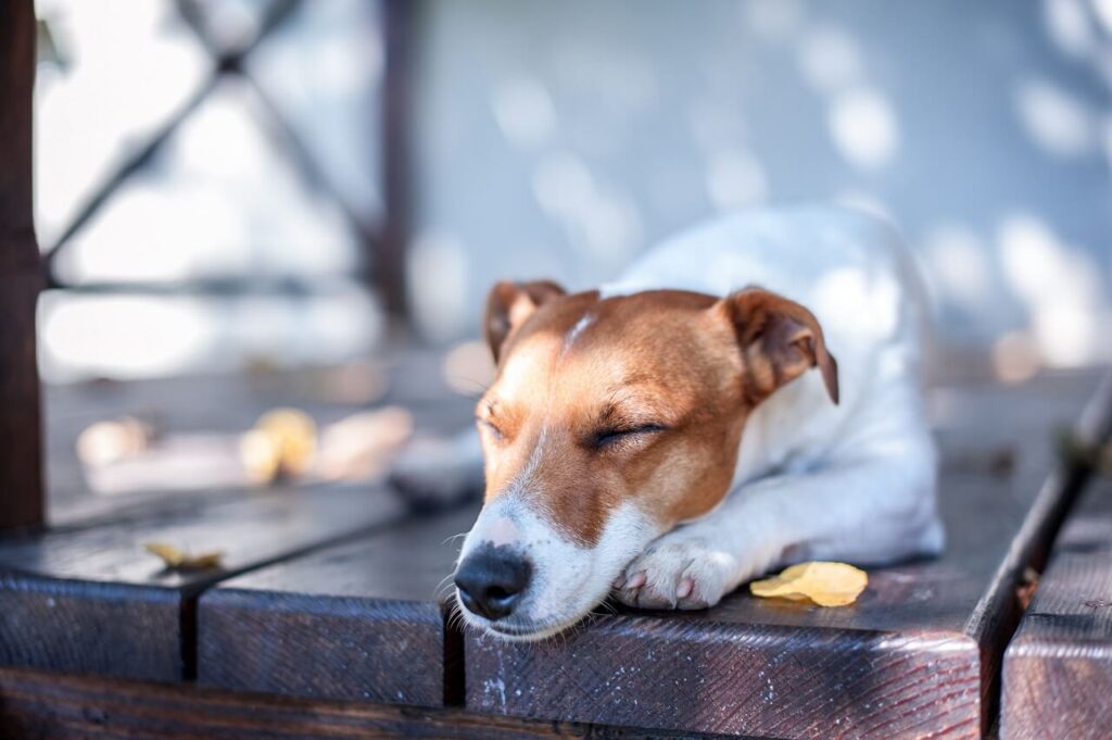 Wood is the most commonly used of the types of decking materials
