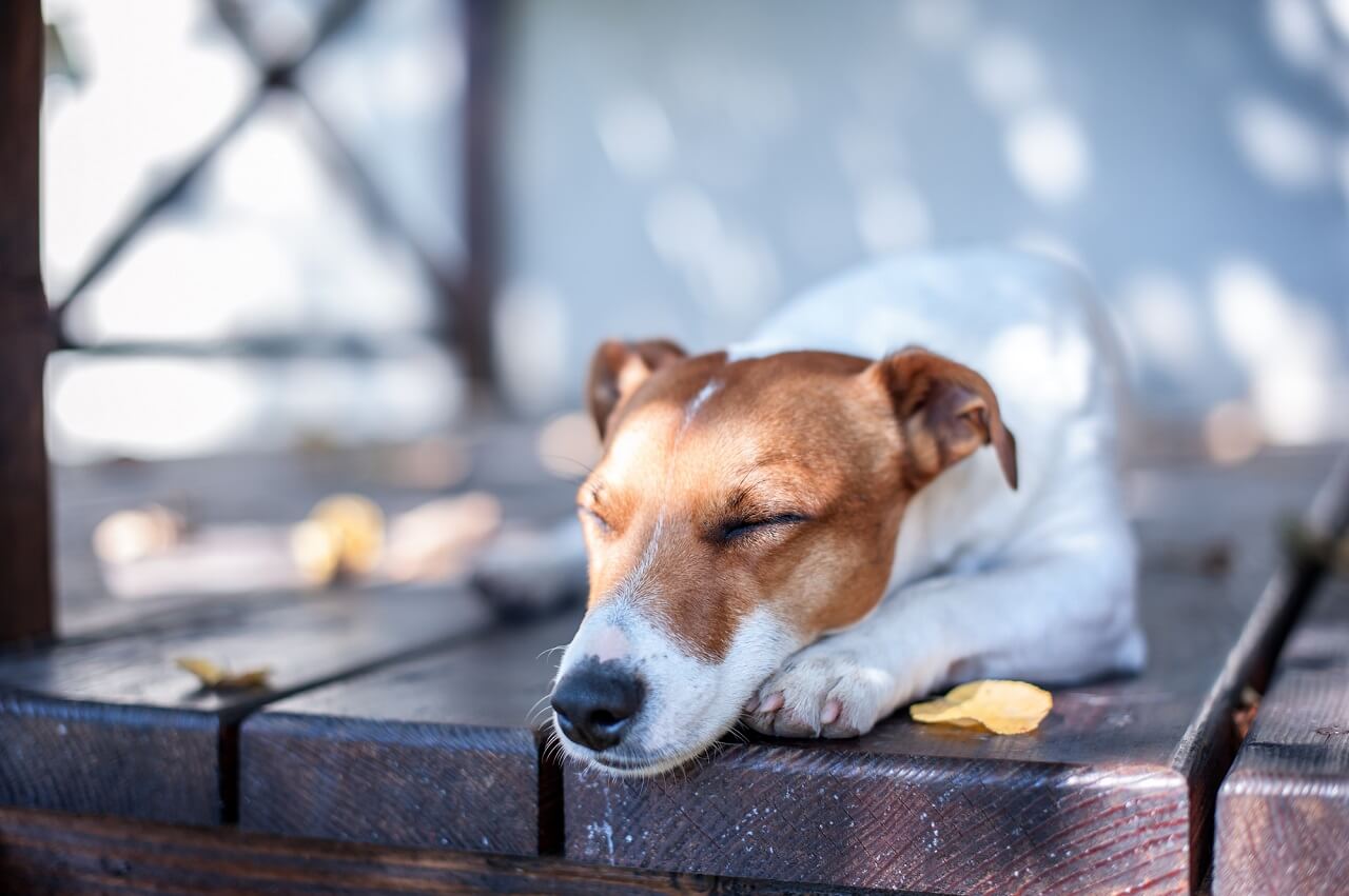 Wood is the most commonly used of the types of decking materials