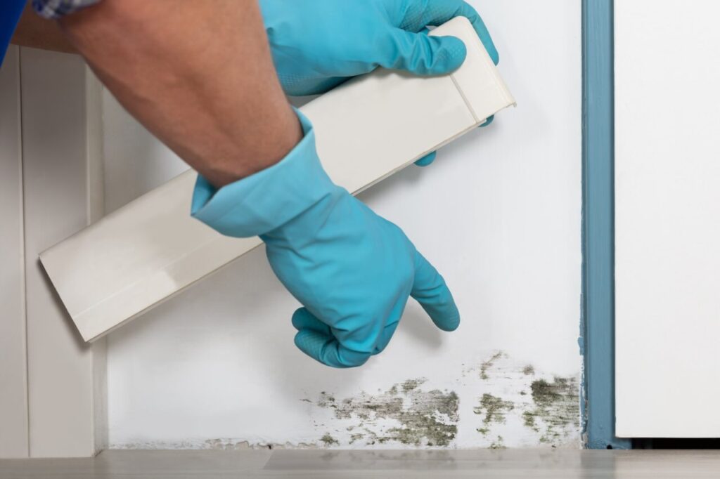 common home concerns