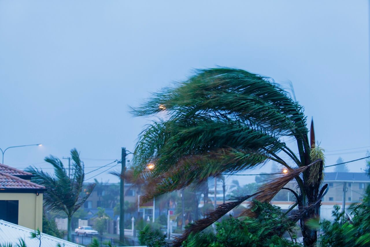 wind mitigation
