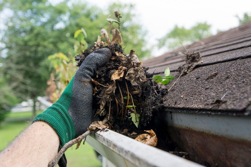 DIY home maintenance
